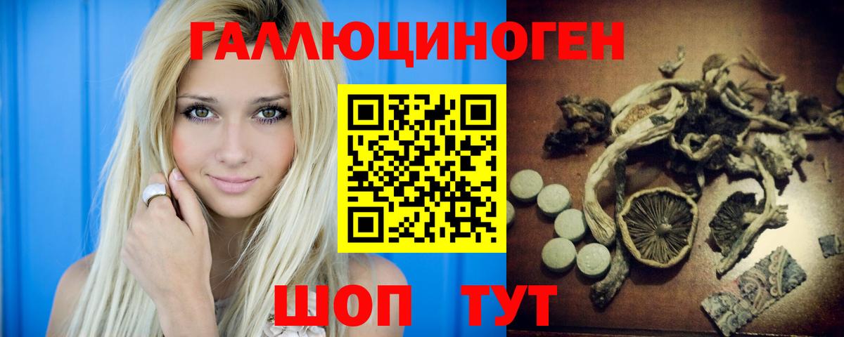 где купить наркоту  Псилоцибиновые грибы прущие грибы  Вход с VPN  Новокубанск 