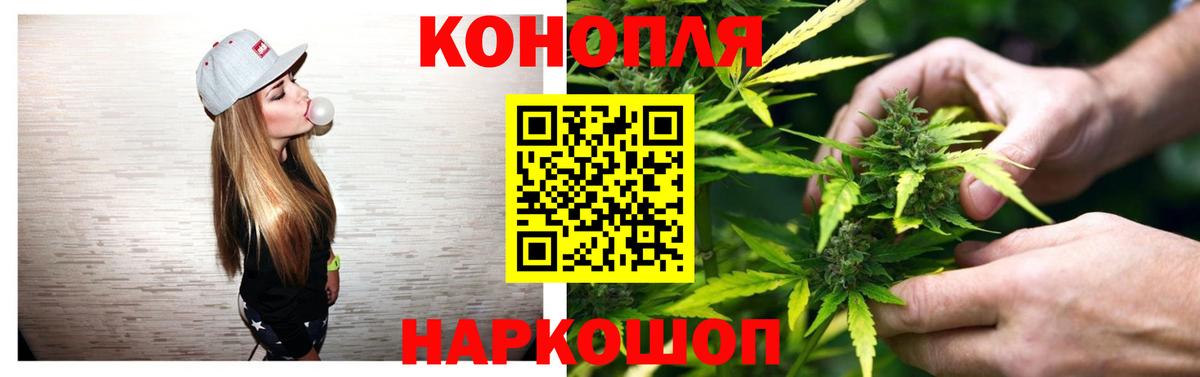 Каннабис план  Канабис MAZAR  Новокубанск  Вход с VPN  Бошки Шишки конопля 